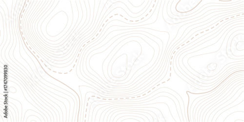 Topographic gold luxury map background. Geographic abstract pattern. The topo contour or wallpaper. Mountain trail terrain or path. Vector illustration.