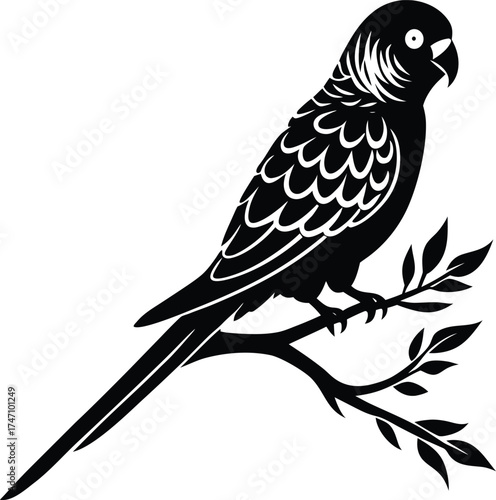 Elegant Parakeet Silhouette Vector Icon, Slender Perched Bird Symbol for Pet Shop Logos and Exotic Wildlife Website Design.

