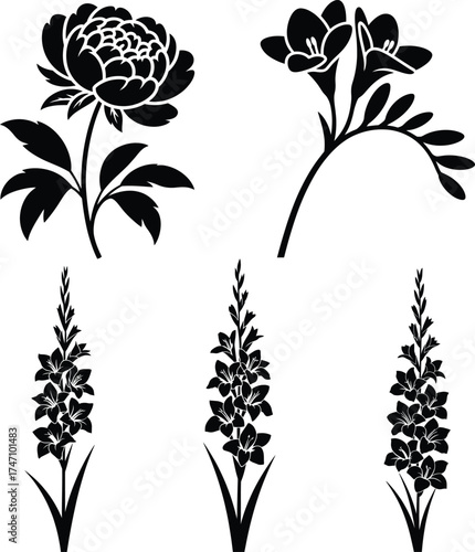 Elegant black silhouette flower collection peony freesia gladiolus botanical designs