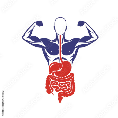Strong body with healthy digestive system illustration for wellness campaigns, nutrition infographics, and fitness promotions focused on gut health