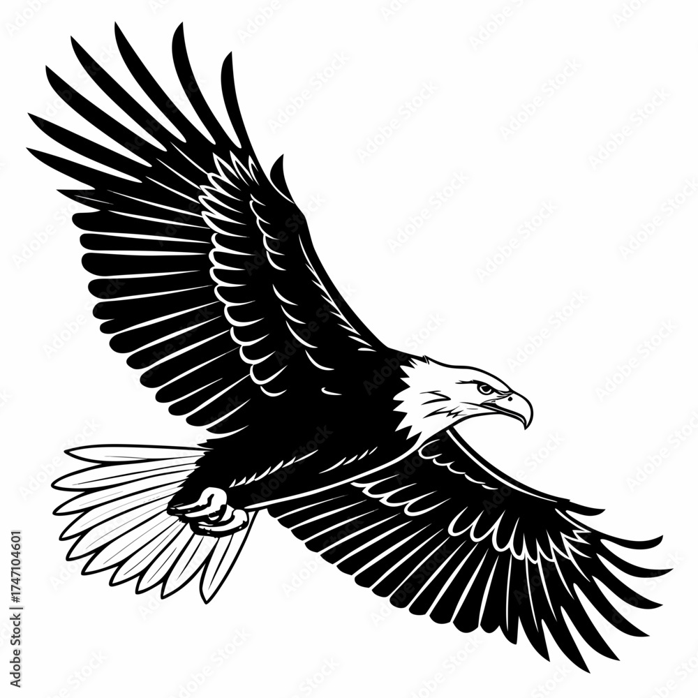 Obraz premium Black eagle with spread wings in flight white background