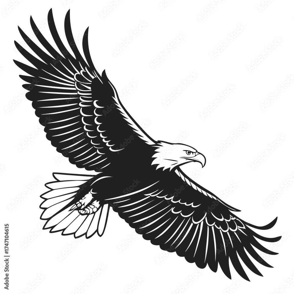 Fototapeta premium Black eagle with spread wings in flight bird flying