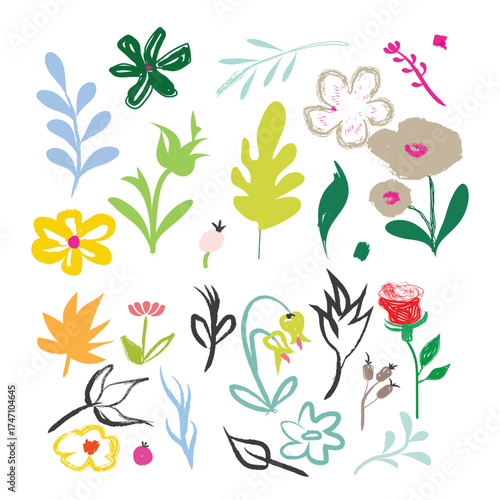 Collection of hand drawn botanical elements and floral illustrations in a whimsical style