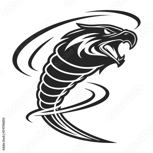Black eagle head tornado graphic spiral white