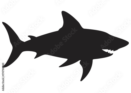 silhouette of a shark