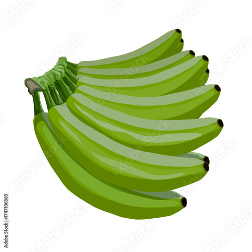 a bunch of unripe green bananas