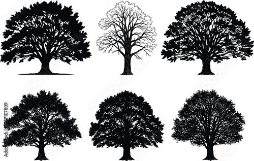 Collection of six tree silhouettes with varied foliage and branching styles for botanical design, seasonal illustration, and nature-themed vector artwork