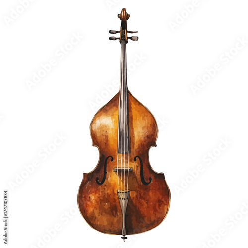 Double Bass, watercolor drawing vector, isolated on a white background.