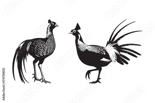 Two elegant pheasants in a stylized black and white illustration