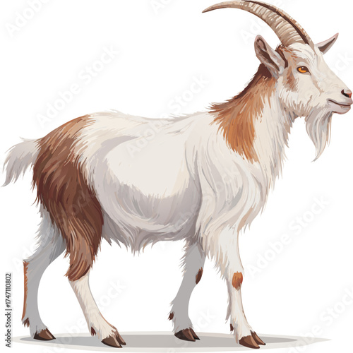 Realistic Goat Vector Illustration – Full Body, Farm Animal, High-Quality Design