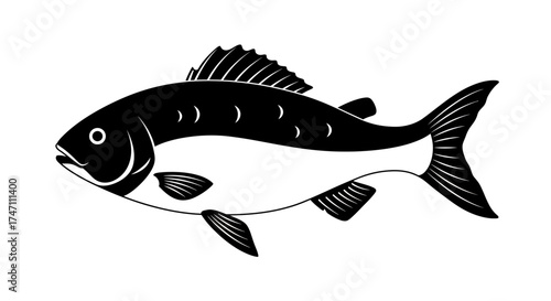 Bold black and white fish graphic rendering traditional artistic style with fin details and textured body perfect for design vector