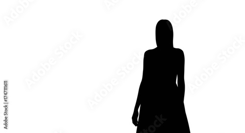 Silhouette of a woman wearing a hijab and a long dress standing against a stark white backdrop showing elegance and modesty vector