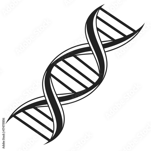 Black D N A helix graphic on white background molecule
