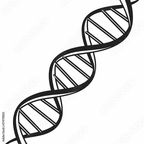 Black D N A helix structure on white background double helix 1
