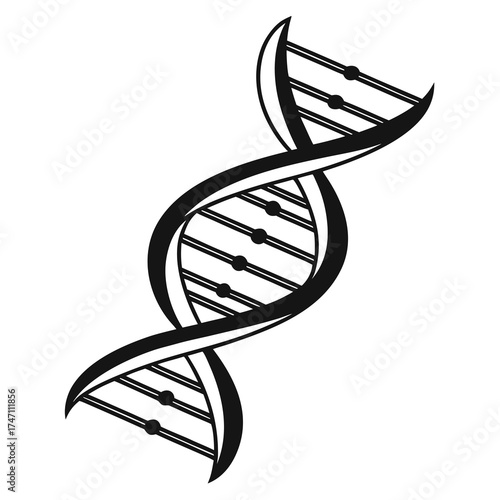 Black D N A helix symbol on white background dna helix