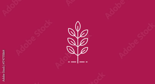 Elegant simple botanical line art of a wheat stalk in neon pink outline on deep magenta background vector