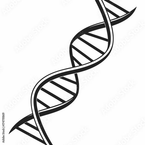 Black D N A Helix Structure on White Background double helix 2