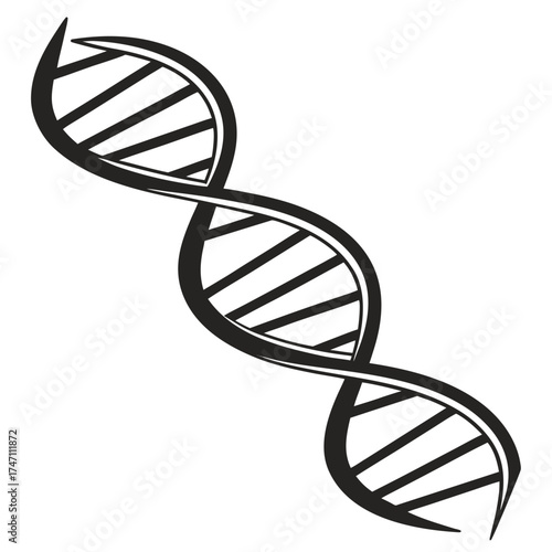 Black D N A helix symbol on white background double helix 1