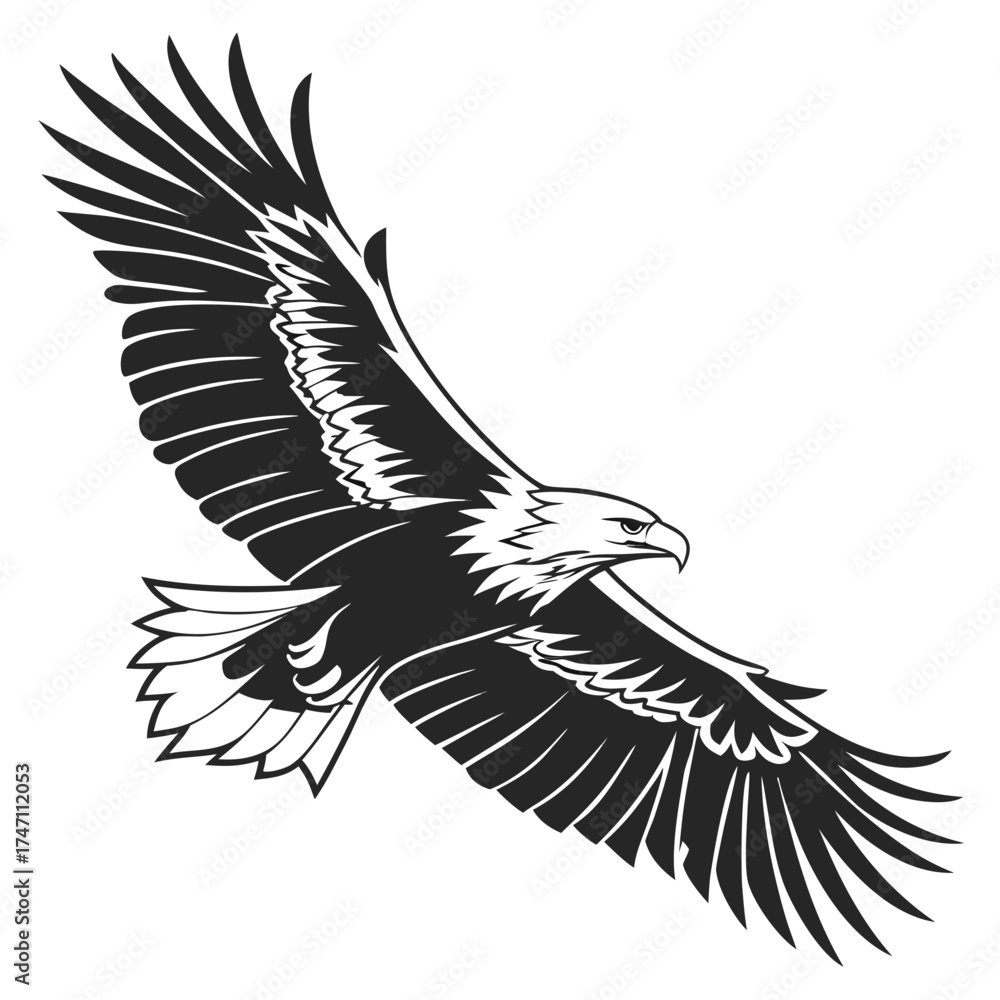 Obraz premium Black eagle in flight abstract graphic bird flying
