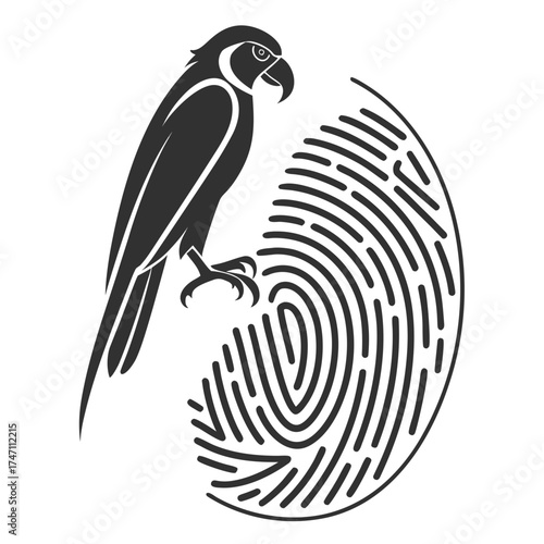 Black parrot perched on fingerprint line art bird identification