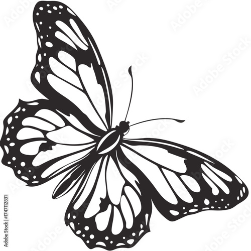 Black butterfly with white wing patterns isolated on white