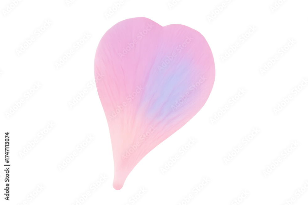 Fototapeta premium Pink heart shaped flower petal transparent background