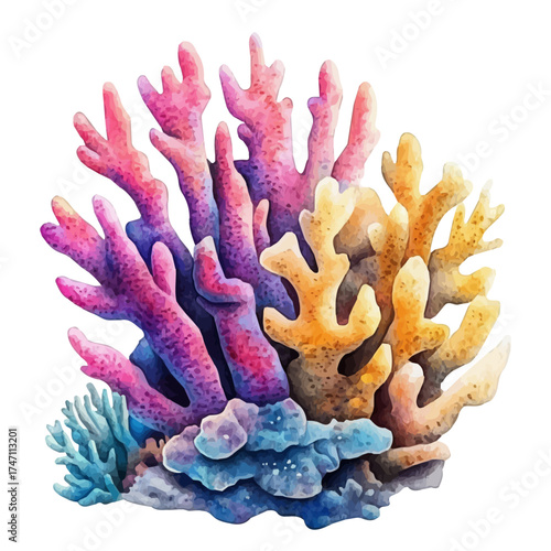 Coral, watercolor drawing vector, isolated on a white background.