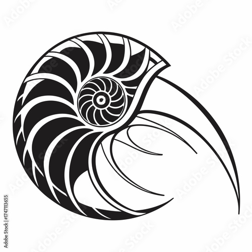 Black nautilus shell abstract graphic design spiral