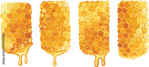 Golden honeycomb dripping with honey, hexagonal cells structure, natural bee product illustration, sweet organic food concept, isolated white background