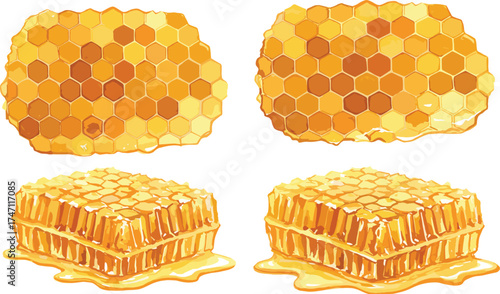 Honeycomb illustrations with dripping honey and hexagonal cells, natural bee product concept, sweet organic food art, isolated white background