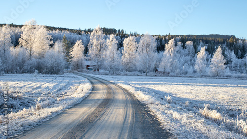 A dirt road winding though a frosty sunlit landscape