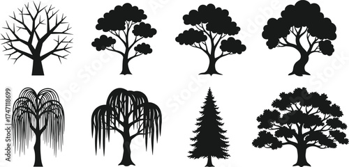 Black silhouette illustration of different tree types, forest collection design, nature background, eco friendly concept, landscape elements, organic growth, outdoor environment art.