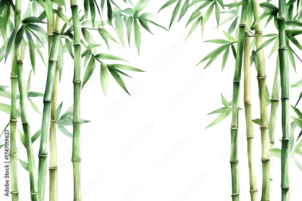 Obraz premium Watercolor painting featuring elegant bamboo stalks arranged gracefully on a white background, capturing the natural beauty and tranquility of this plant