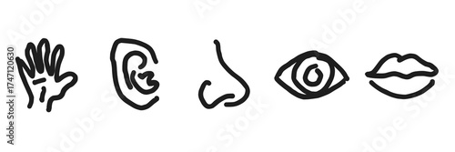 vector illustration of an abstract background, transparent Five human senses editable stroke outline icons set isolated on white background flat vector illustration. 