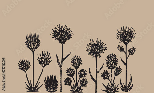 Minimalist black and white wildflowers on a tan background