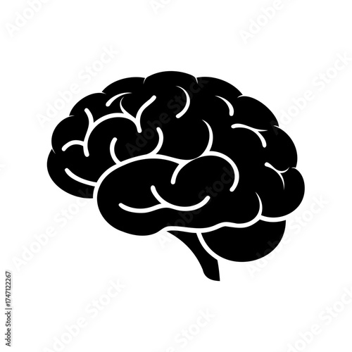 A highly detailed graphic depiction of a human brain in black color