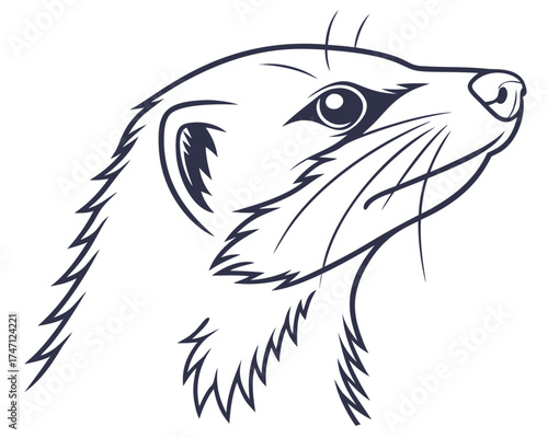 Weasel animal mascot, ferret head line art vector illustration in a profile view. Minimalist and simple design of this wild or domestic pet, suitable for wildlife and nature graphic concepts.