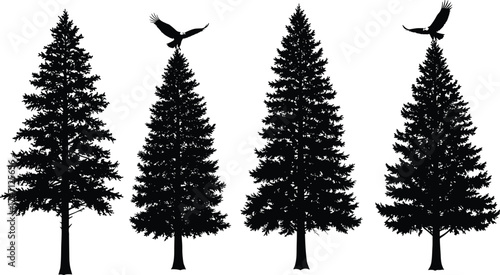 Pine tree silhouette, evergreen forest design, eagle flying on tree, conifer illustration, nature vector art, winter woodland scene, outdoor wilderness