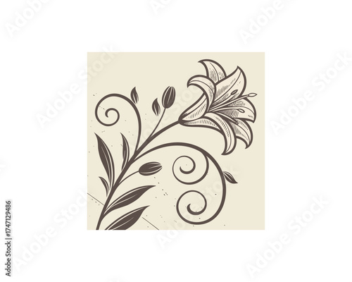 decorative grunge set with brush lines strokes download