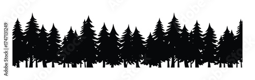 Pine tree forest silhouette vector evergreen landscape nature background illustration