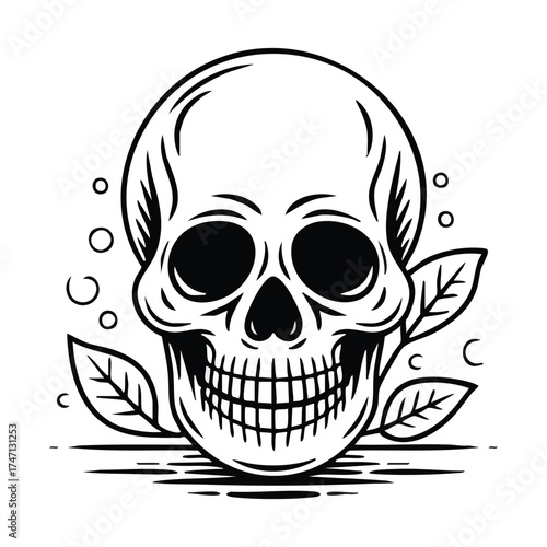 skull line art vector 