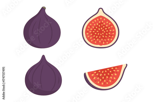 Set of fresh figs vector illustration. Whole, half, and sliced purple fig fruit. Healthy organic food icon collection. Natural sweet snack or dessert for diet. Isolated flat design.