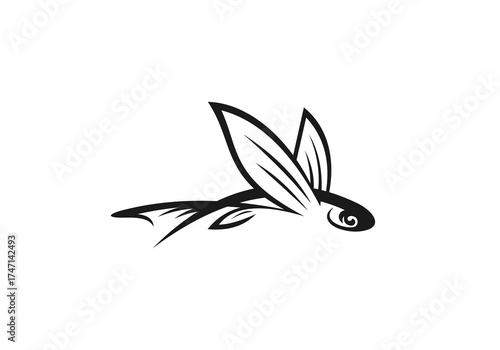 flying fish illustration vector logo