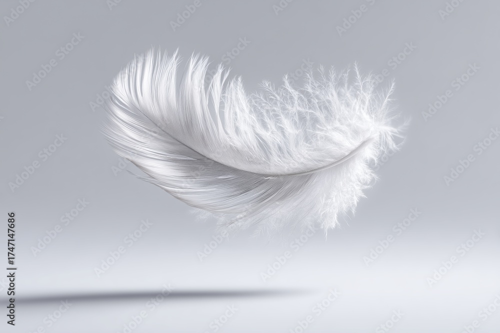 Fototapeta premium Elegant Floating White Feather on Grey Background