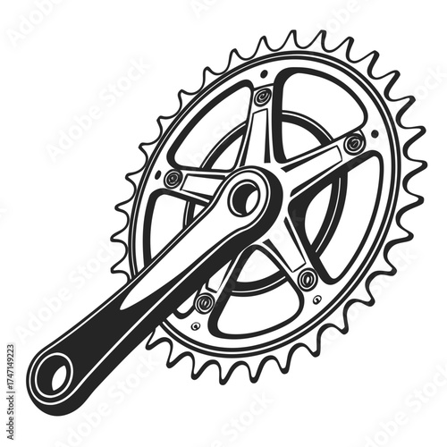 Black bicycle crankset and chainring on white bike part