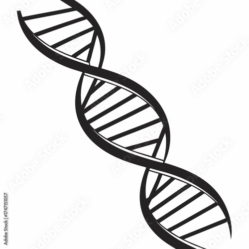 Black D N A helix structure on white background dna molecule