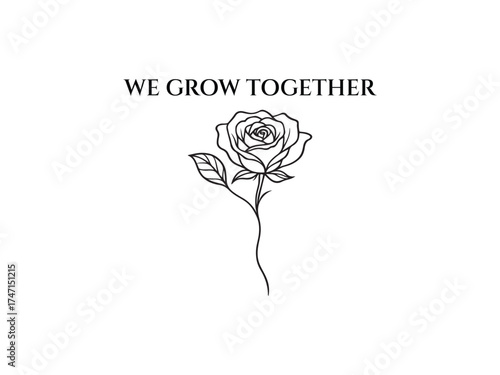 rose on white background