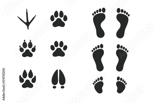 Set of black animal and human paw and foot prints silhouettes, bird, dog, cat, deer, horse footprints, wildlife tracks collection, transparent background vector illustration