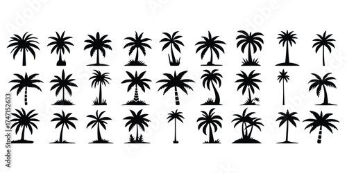 set, arrangements, various, summer, background, plant, shapes, trunk, frond, vector, styles, feature, collection, travel, stylized, illustration, description:, vegetation., thirty, element, icon, exot