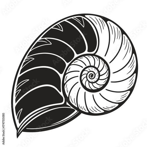 Black nautilus shell spiral graphic on white background